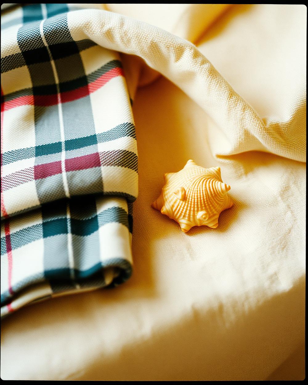 Folded plaid fabric and a shell on cream linen
